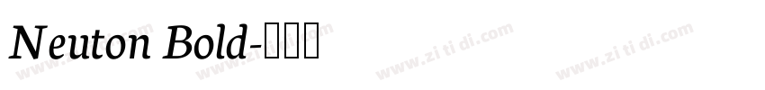 Neuton Bold字体转换